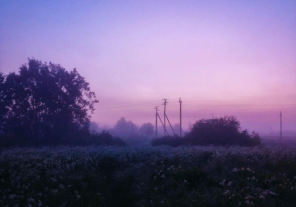 后台截图流出——17c网页版视频分享疑似新增倍速，真假我给你看